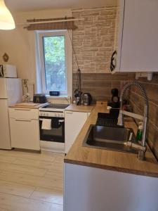a kitchen with a sink and a counter top at Mountain Home - Galyatető in Galyatető +57 photos