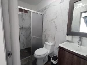a bathroom with a toilet and a shower and a sink at Apartaestudios Típica Loft in Pasto