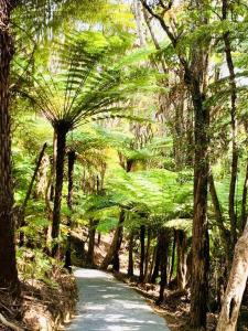 Gallery image of KAURI HILL ESTATE Luxe Mountain Retreat in Totara North