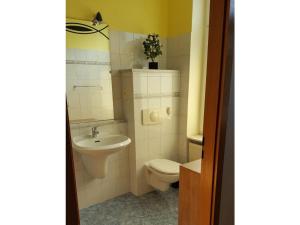 a small bathroom with a toilet and a sink at Holiday apartment in Waren Müritz in Waren +13 photos