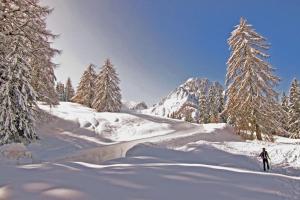 Ferienwohnung Bernsteiner during the winter
