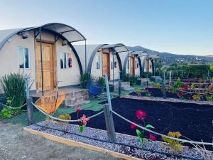a row of domed houses with plants in a garden at Cabañas Valle de Guadalupe in La Amplación