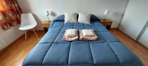 - une chambre avec un lit bleu et 2 oreillers dans l'établissement Bear Cave Ushuaia, à Ushuaia