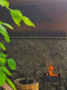 Fotografie z fotogalerie ubytování Family hotel mountain panorama v destinaci Bordžomi