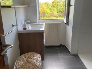 une petite salle de bain avec un lavabo et une fenêtre dans l'établissement Gîte écologique familial en campagne, idéal pour sports et nature - FR-1-410-452, à Moulins-le-Carbonnel