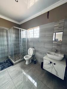 a bathroom with a toilet and a sink and a shower at KGADITSE ROAD LODGE in Moletlane