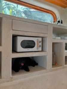 a dog is laying in a microwave in a dog house at Kalo Villa Siargao in General Luna