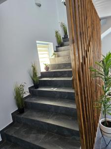 Billede fra billedgalleriet på Pensiunea Aventurin i Murighiol