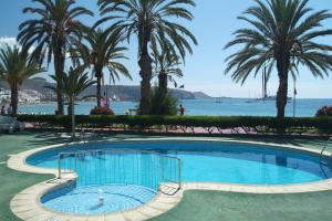 a large swimming pool with palm trees and the ocean at Apartamentos Vista Sur in Playa de las Americas