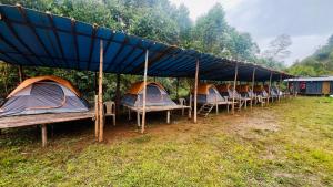 Zahrada ubytování Paradise Tent Stay Vattavada Munnar