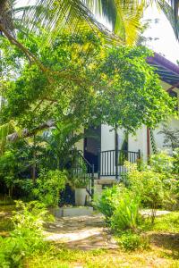 Aed väljaspool majutusasutust Groot