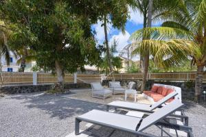 Green Nest Peyrebère في بيريبير: فناء مع أريكة وكراسي وأشجار نخيل