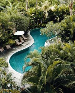 a swimming pool in a garden with palm trees at TheSoulHouseBali in Canggu