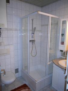 y baño con ducha y aseo. en Ferienwohnung "Isidora", en Villach