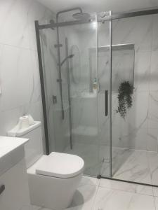 un bagno con doccia in vetro e WC di Spacious studio unit a Rochedale South Altre 22 foto