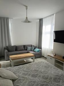 Μια τηλεόραση ή/και κέντρο ψυχαγωγίας στο Apartament Forum Invest