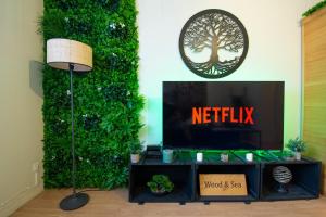 ein Fernseher in einem Wohnzimmer mit einer grünen Wand in der Unterkunft Wood & Sea I Sauna & Hyper centre in Crozon