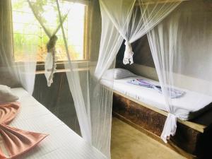 Postel nebo postele na pokoji v ubytování Eco Lodge Safari