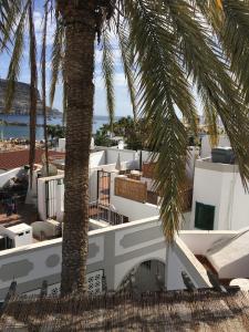 palma przed białym budynkiem w obiekcie Værelse - Casa Danesa, City house at the Palm Tree, Puerto de Mogan w mieście Puerto de Mogán