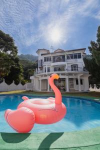 Bazén v ubytování Villa55 w Private swimming pool BBQ Pool table 25pax nebo v jeho okolí
