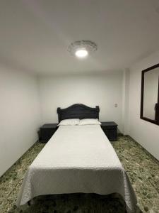a bedroom with a large bed in a room at Hotel Nuevo Horizonte E.M.J in Bogotá