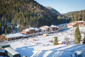 een skigebied met een hoop mensen in de sneeuw bij Chez la malou in La Bresse