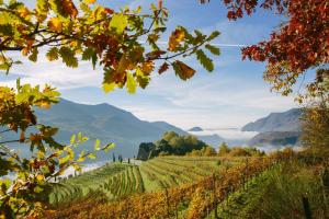 Příroda nedaleko hotelu