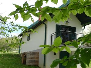 a house with green shutters and a balcony at Kellerstöckl am Berg - Das Grüne in Csatherberg