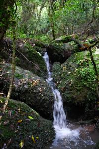 einem kleinen Wasserfall inmitten eines Waldes in der Unterkunft Drakenzicht KZN in Winterton
