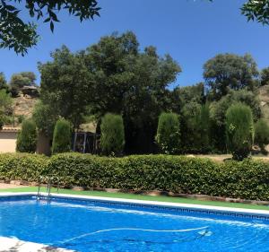Bazén v ubytovaní Allotjament Rural Solsona alebo v jeho blízkosti