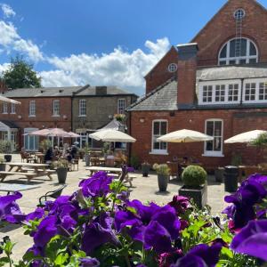 a courtyard with purple flowers in front of a building at Charlotte House Hotel in Lincoln