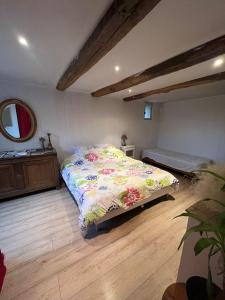 Un dormitorio con una cama, una cómoda y un espejo. en Domaine de Cruvelet Petit gite, en Trigance