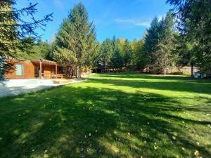 a large yard with a house and trees at Modular Cuib de Vultur in Porumbacu de Sus +18 photos