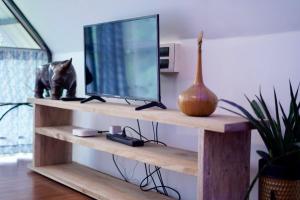 a cat sitting on a shelf with a television at Lakeland Homestay Diphu in Diphu
