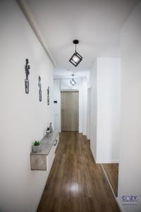 Gallery image of Cozy Apartments at Ared Imar near by Mall in Arad +32 photos
