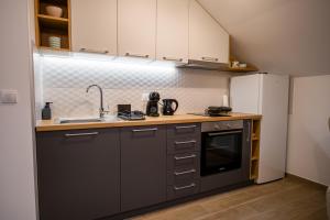 Kuchyň nebo kuchyňský kout v ubytování TOP VIEW apartment 40