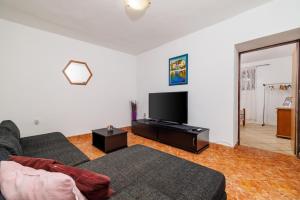 a living room with a couch and a flat screen tv at Apartment Klara in Senj