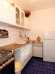 Kuchyň nebo kuchyňský kout v ubytování Apartments Masa