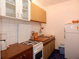 Kuchyň nebo kuchyňský kout v ubytování Apartments Masa