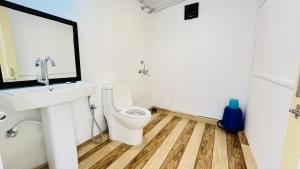 a bathroom with a toilet and a sink and a mirror at Sameer beachfront Cottages in Canacona