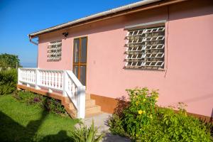 GingerlandGood Times的一栋有门廊和窗户的粉色房子