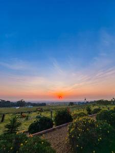 a sunset in a field with the sun in the sky at Capelands Resort, Italian Restaurant & Winery in Cape Town