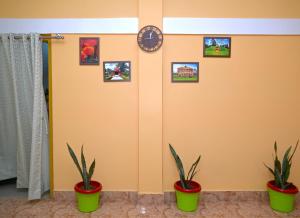 SibsāgarParag Abode - A Luxury Homestay的相册照片