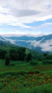 Fotografie z fotogalerie ubytování StarGate HomeStay UK A Walk in The Clouds v destinaci Bhimtal