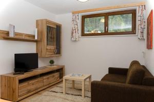 ペットイ・アム・アールベルクにあるHaus Alpin Apartmentsのソファと薄型テレビのあるリビングルーム