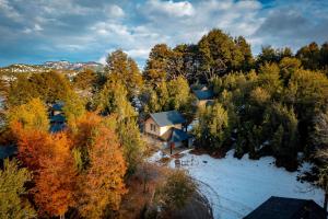 an aerial view of a house in the woods at Complejo Moquehue in Villa Pehuenia