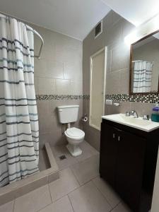 a bathroom with a toilet and a sink at DEPARTAMENTO PLAYA MIRAMAR in Miramar