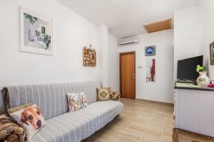 TV a/nebo společenská místnost v ubytování Apartments Masa