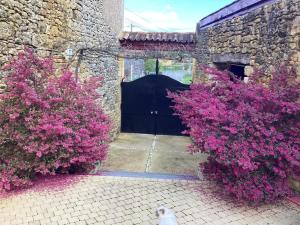 a cat sitting in front of a door with pink flowers at Le Clos de Peyruzel, Daglan in Daglan +48 photos