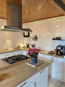 a kitchen with a stove and a vase of flowers on a counter at Le Petit Four à Pain in Neuvicq-Montguyon